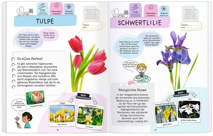 Produktbild Expedition Natur Rätseln, Stickern, Bestimmen - Blumen (Deutsch, Mary Gribouille, Sandra, Lebrun, 2024)