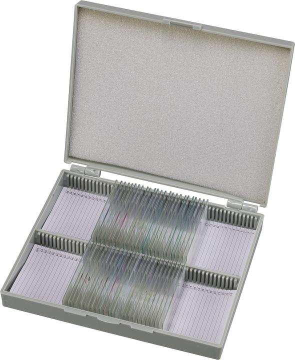 Produktbild Bresser Dauerpräparate: Histologie