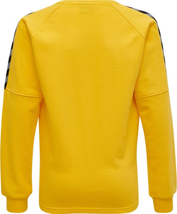 Produktbild hummel Authentic Kids Training Sweat (164)