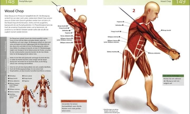 Actual product image Das Anatomie-Buch der Fitness (German, Ken Ashwell, 2014)