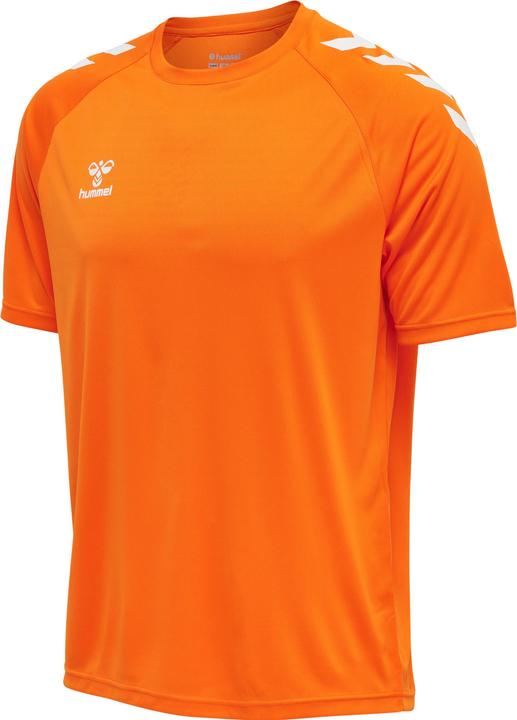 Orange tiger