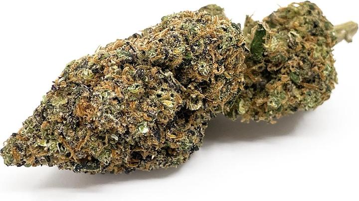 Actual product image High Level Genetics Seeds Bombastic Berry 3pcs (2.43 g, Indoor)