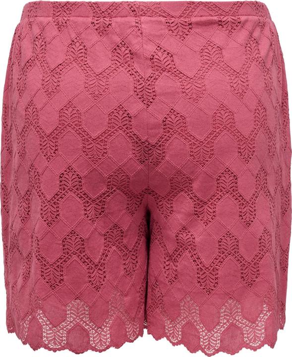 Immagine prodotto Only CARCLEANOR Normal geschnitten Shorts Shorts (54)