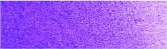 Manganese violet