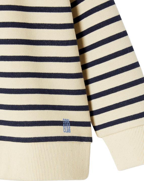 Immagine prodotto Vertbaudet Gestreiftes Jungen Kapuzensweatshirt (158)