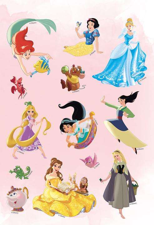 Actual product image Panini Disney Princess
