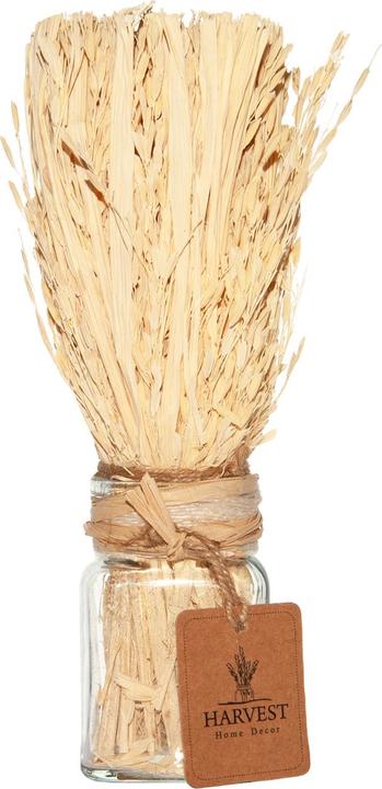 Image du produit Casativo Herbe décorative dans un verre décoratif (22 x 22 cm)