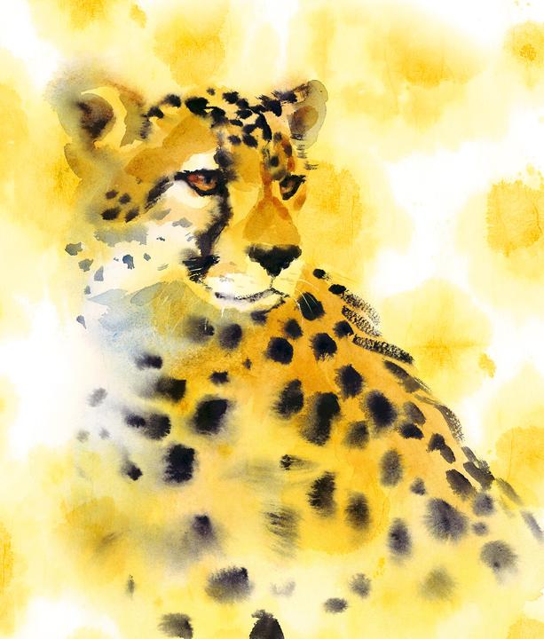 Immagine prodotto Libro da colorare Inside Out: Animali ad acquerello