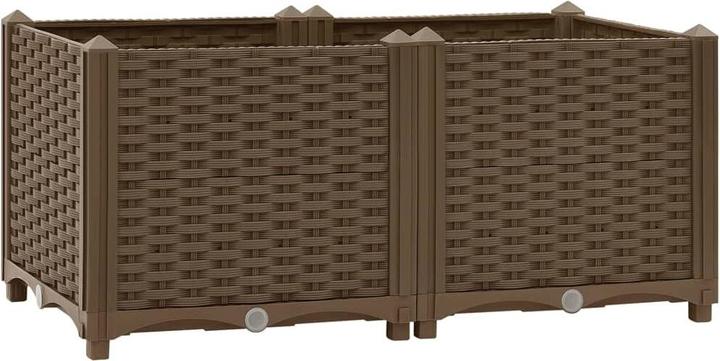 Braun