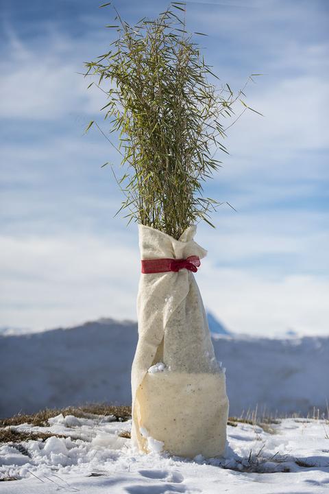 Immagine prodotto Windhager Coperta in pile