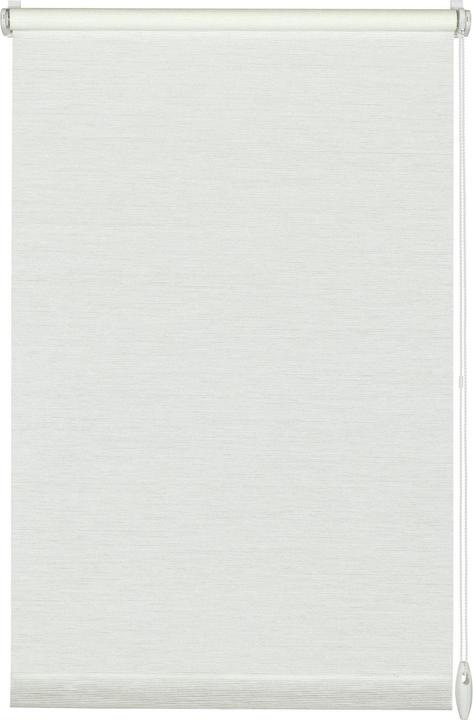 Image du produit Gardinia Nature (45 x 150 cm)