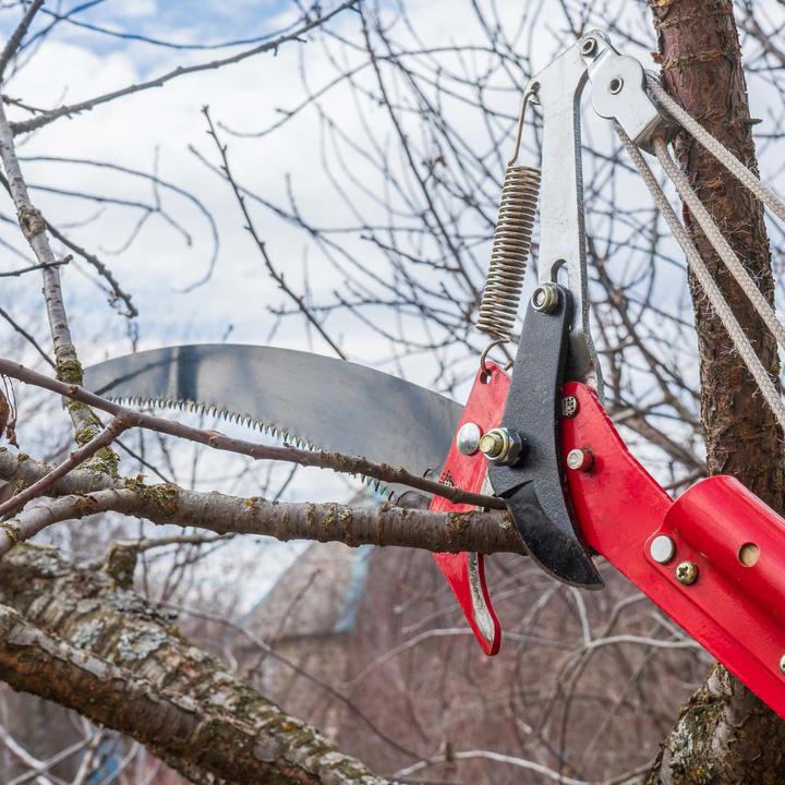 Produktbild Wiltec XPOtool Teleskop 2in1 Astsäge Astschere 100-200cm Seilzug Gartensäge Baumschere