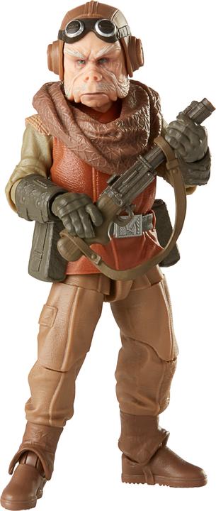 Actual product image Hasbro The Black Series Kuiil