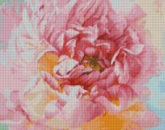 NoName Mosaico di diamanti - Peonia delicata 40x50
