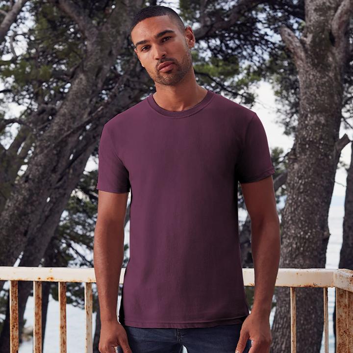 Image du produit Fruit of the Loom Tee-shirt premium (L)