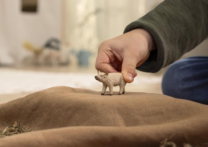 Produktbild Schleich Wollschwein Ferkel