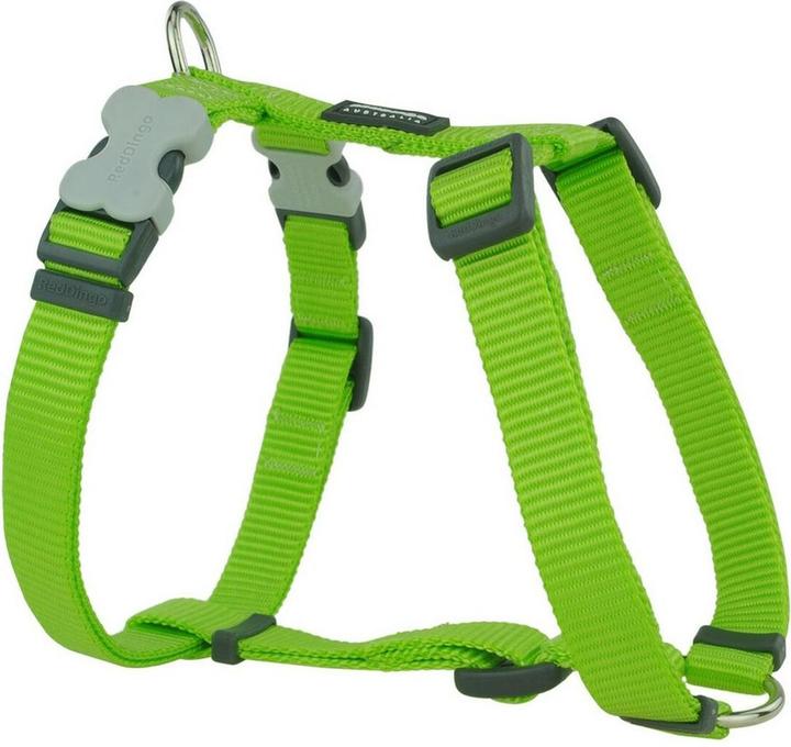 Red Dingo Hundegeschirr weich 60-109 cm Neongrün (60, 62, 68, 80, 85, 90, 95, 100, 104, 105, Dog, Dog sport)