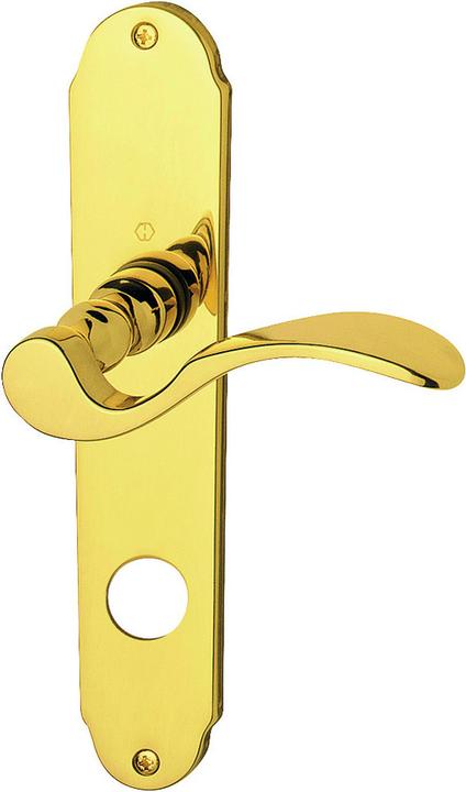 Actual product image Hoppe Munich (Door set)
