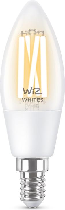 B35 (E14, 4.90 W, 470 lm, 1 x, E)
