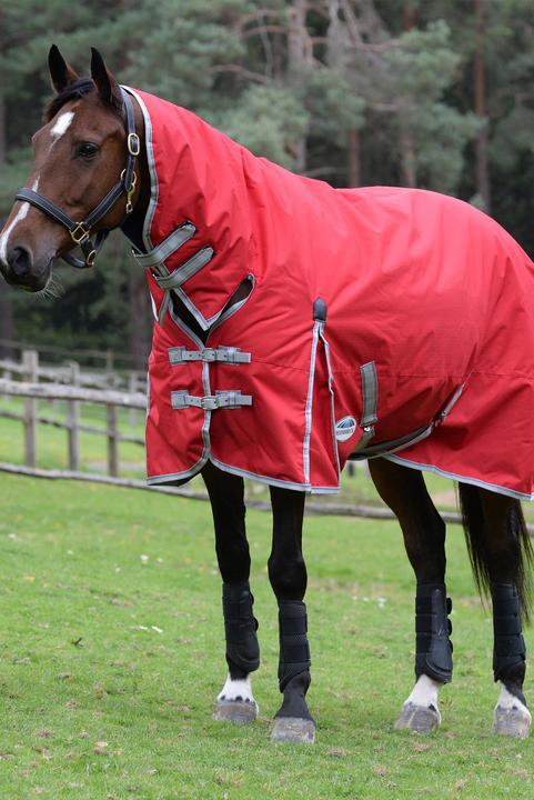 Weatherbeeta Comfitec Classic 50 g (150 cm)