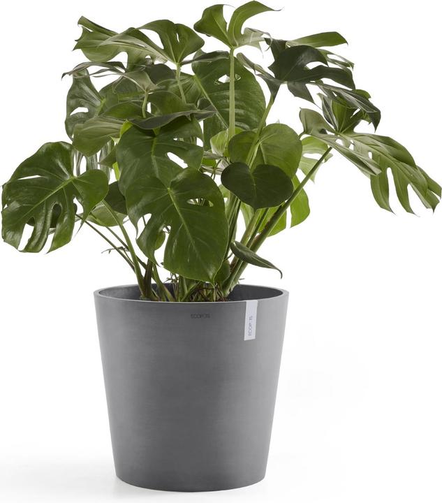 Produktbild Ecopots Amsterdam + Wasserbehälter (50 cm)