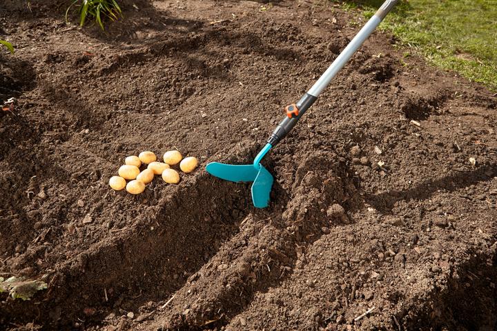 Image du produit Gardena Gardino
