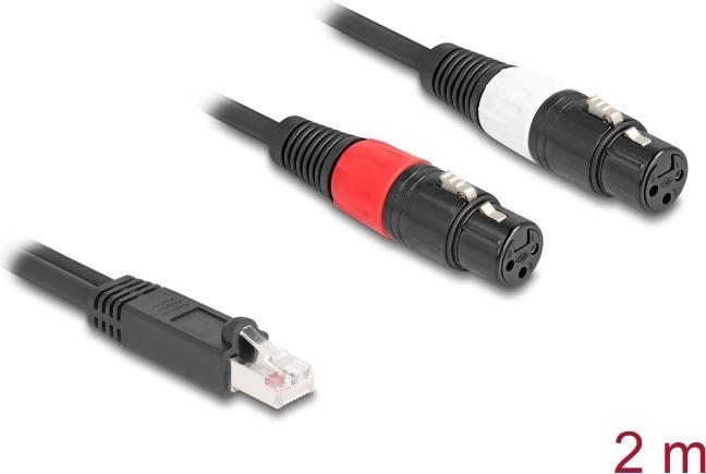 Actual product image Delock Adapter cable RJ45 plug to 2 x XLR 3 pin socket black 2 m (88176) (2 m, CAT)