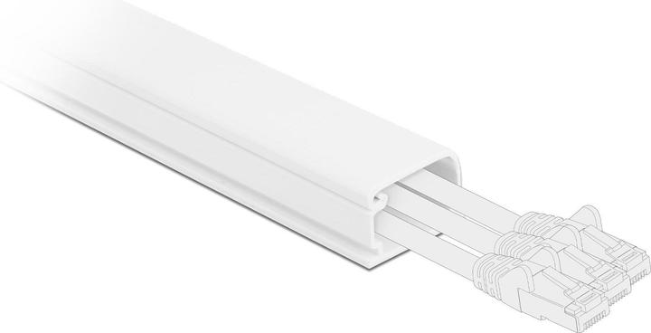 Immagine prodotto Delock Canalina per cavi (Tubazione, 100 cm)