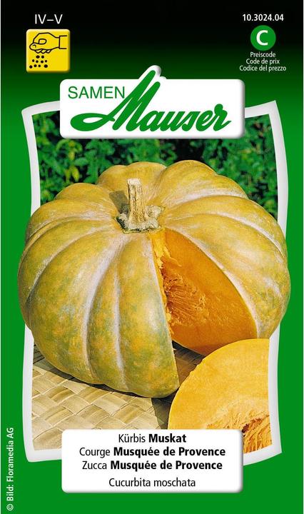 Produktbild Samen Mauser Kürbis Muskat (Gemüsesamen)