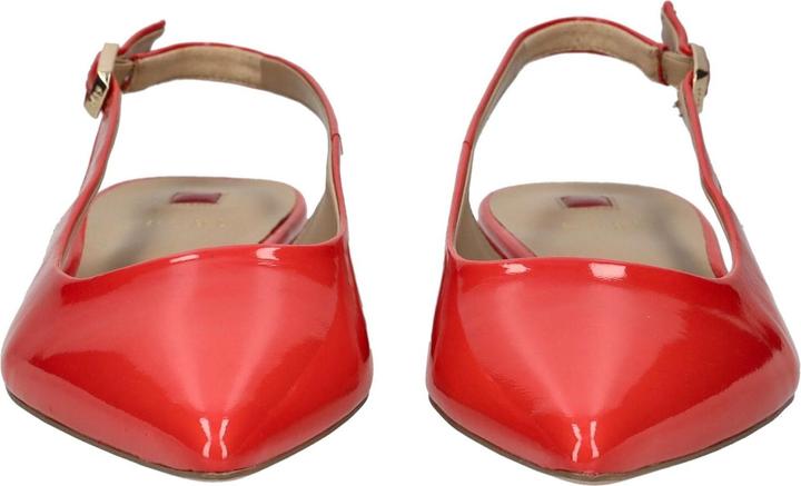 Image du produit Högl Pumps (38)