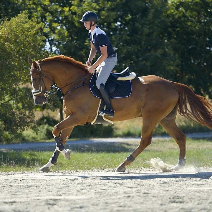Image du produit Kavalkade Bottes d'équitation en cuir Maximus pour femmes (38)