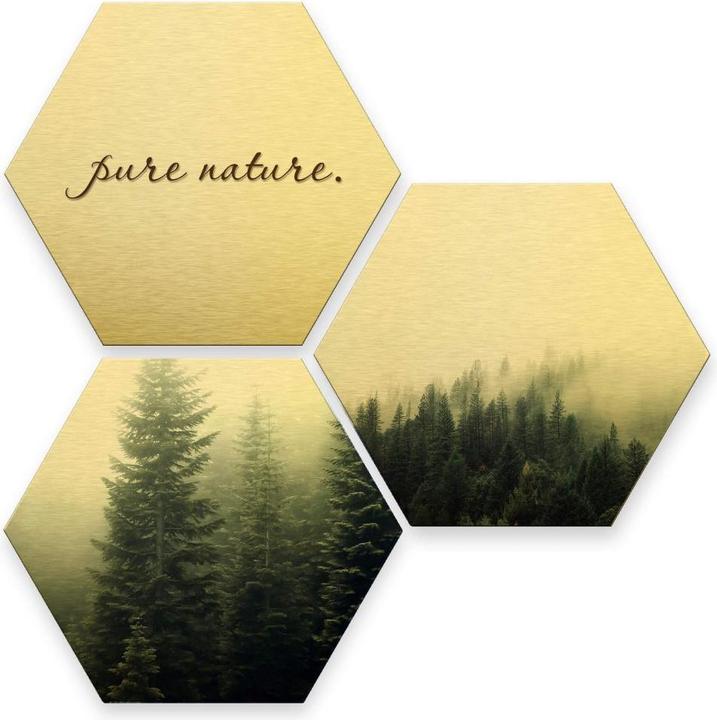 Produktbild Trenddeko Hexagon - Goldeffekt - Pure Nature Wald (3er Set) (35 x 30 cm)