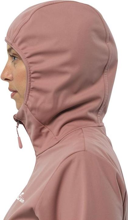 Image du produit Jack Wolfskin Feldberg Hoody W (XS)