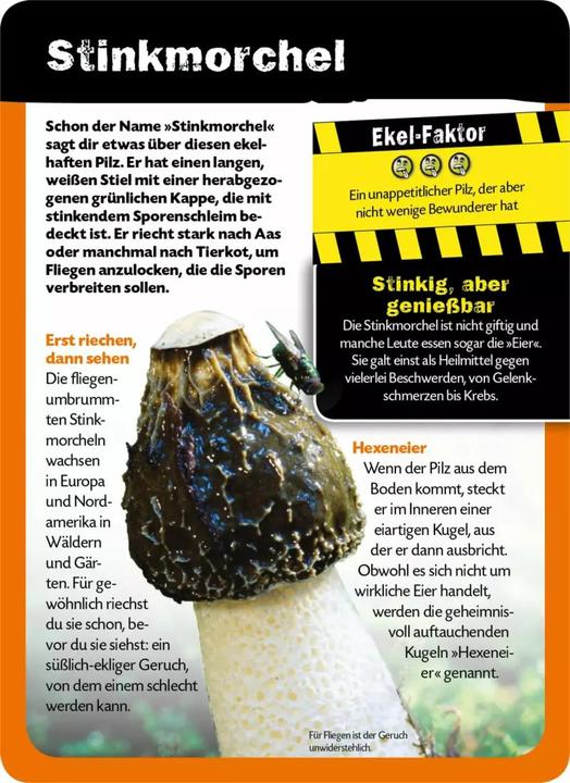 Image du produit Die 100 ekligsten Dinge der Welt (Allemand, Anna Claybourne, 2020)