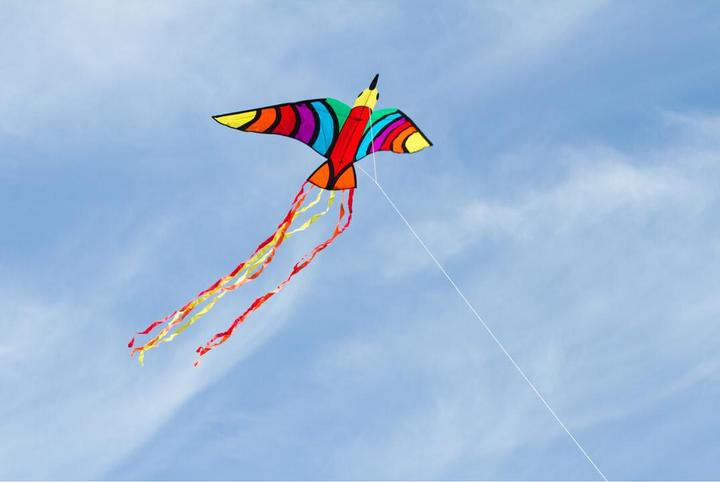 Produktbild Invento Drachen Tropical Bird