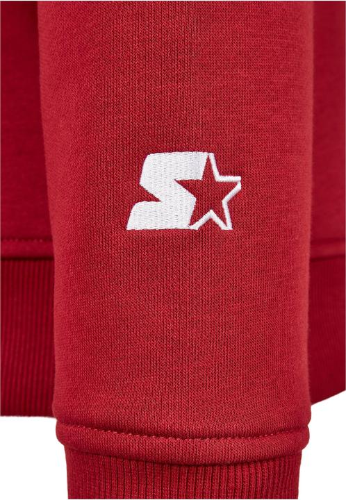 Actual product image Starter Small Logo Hoody (S)