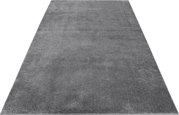 Actual product image Esprit Campus (133 x 190 cm)
