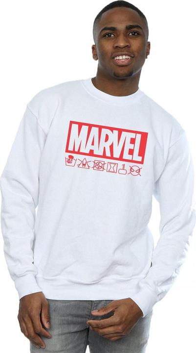 Image du produit - Sweat LOGO WASH CARE - Homme (L)