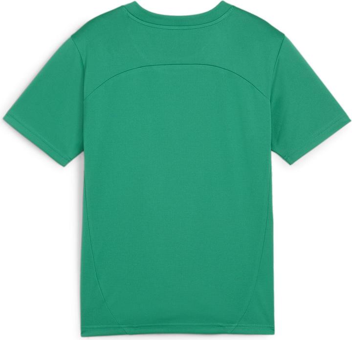 sportgreenpumasilver
