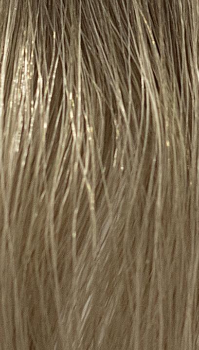 Ref. Soft Colour Coloration 8.1 Light Ash Blonde 3 x 50 ml (8.1 Light Ash Blonde)
