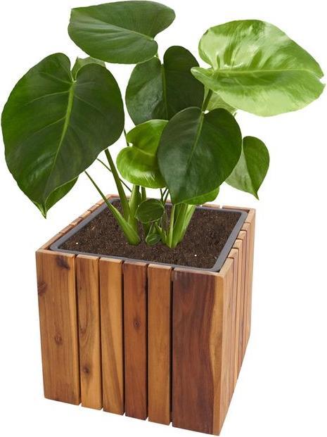 Produktbild Mendler Pflanzkasten HWC-L24, eckig 32x32x32cm Outdoor Akazie, braun (32 cm)