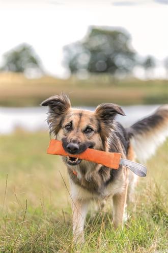 Actual product image Trixie Sporting training dummy (Retrieval)