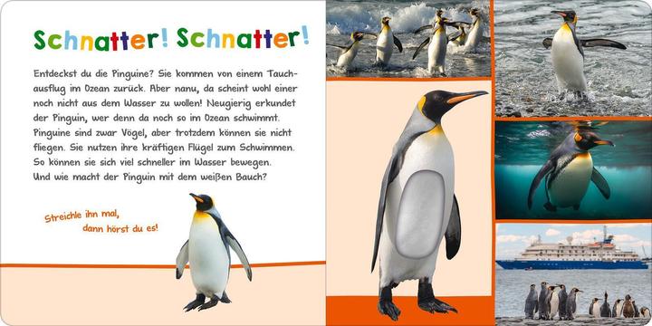 Actual product image Hör mal rein, wer kann das sein? – Im Ozean (German)