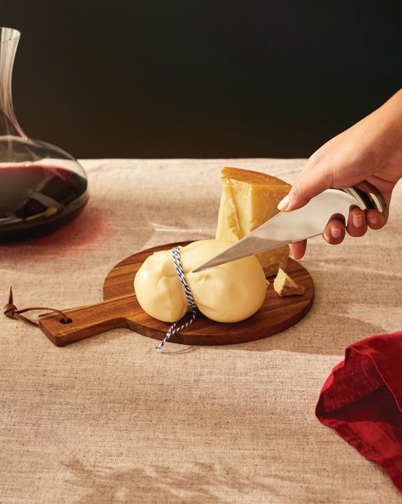 Actual product image Alessi Antechinus cheese knife