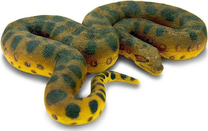 Actual product image Safari Green Anaconda