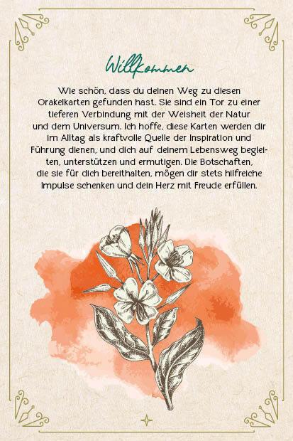 Actual product image Strassmair:Orakel-Karten-Box: Naturmome (German, Sabine Strassmair, 2024)