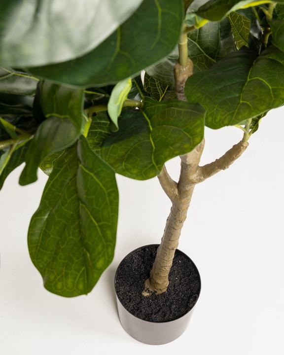 Actual product image Kave Home Ficus (150 cm)