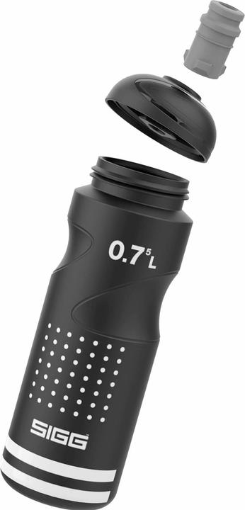 Actual product image Sigg Pulsar (0.75 l)