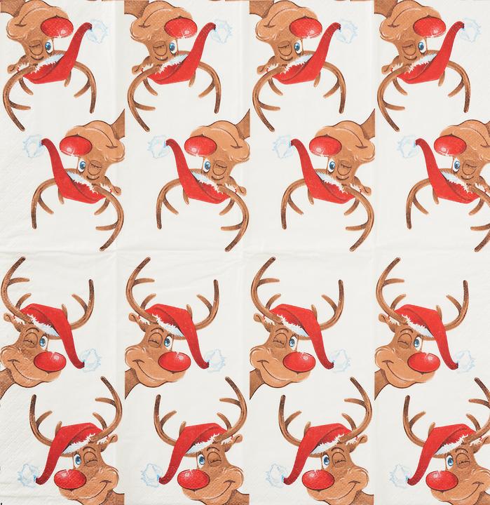 Image du produit Paper + Design Mouchoirs de Rudolph