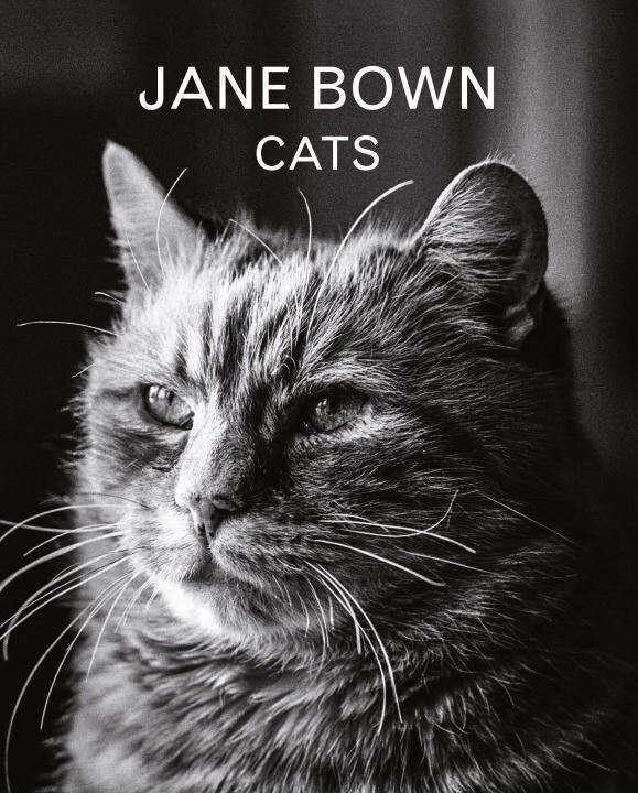 Produktbild Jane Bown: Cats (Englisch, Jane Bown, 2016)